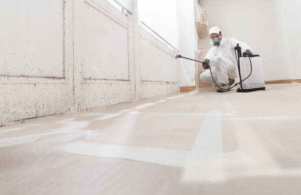 24/7 Emergency Attic Mold Remediation experts in Columbia, TN