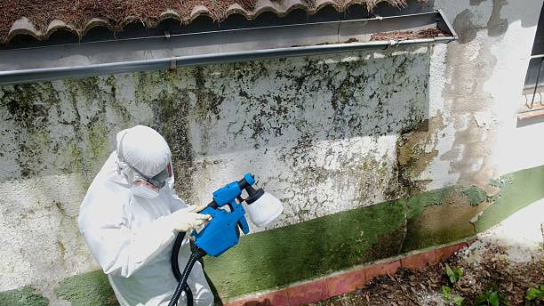 Top rated local Attic Mold Remediation specialists in Columbia, TN